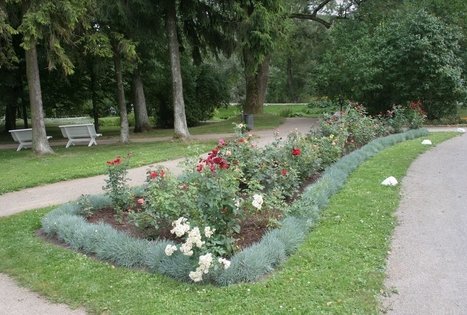 Burbiškio dvaras ir parkas