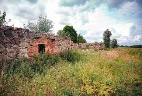 Miško Takas 69. Kirkšnovė – Kaulakiai.