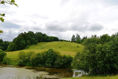 Burbiškių piliakalnis