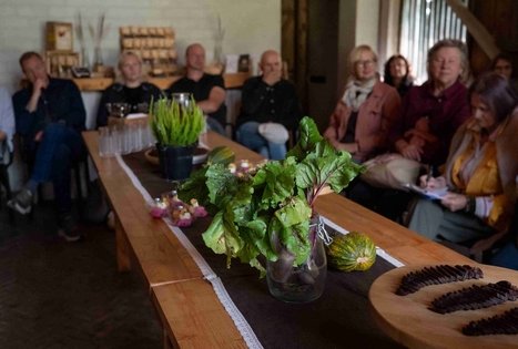 Burokėlių atradimų dirbtuvės