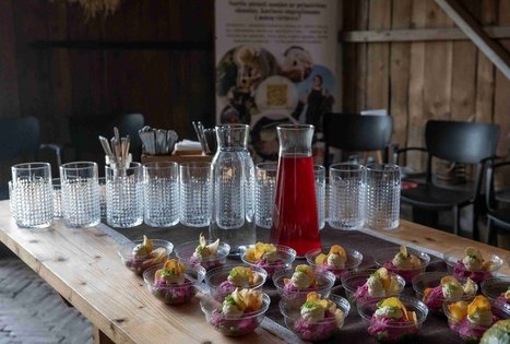 Burokėlių atradimų dirbtuvės