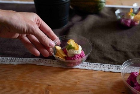 Burokėlių atradimų dirbtuvės