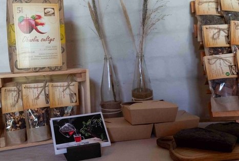 Burokėlių atradimų dirbtuvės