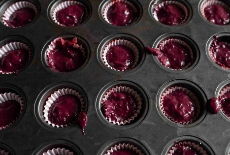 Burokėlių atradimų dirbtuvės