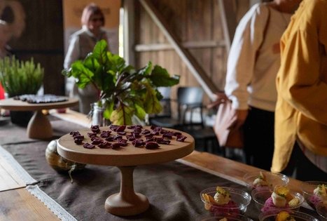 Burokėlių atradimų dirbtuvės