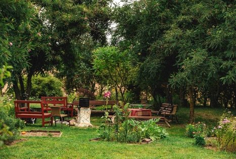 Miško Takas 59. Panemunis – Birštonas.