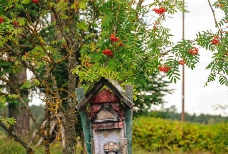 Tautodailininkės Rimantės Butkuvės sodyba