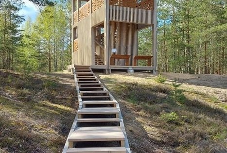 Čepkelių raisto mokomasis takas