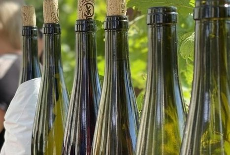 Vyndario Česlovo Ramoškos sodyba (UAB ČESLOVO VYNAS)