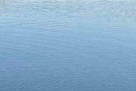 „Emilijos sodyba“