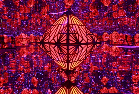 „Cosmos“ paukščių takas