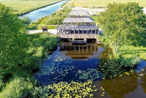 Kniaupo įlankos apžvalgos bokštelis