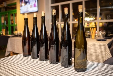 Vyndario Česlovo Ramoškos sodyba (UAB ČESLOVO VYNAS)