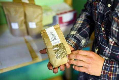 Kanapių ūkis Šironija