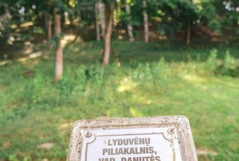 Danutės (Lyduvėnų I) piliakalnis