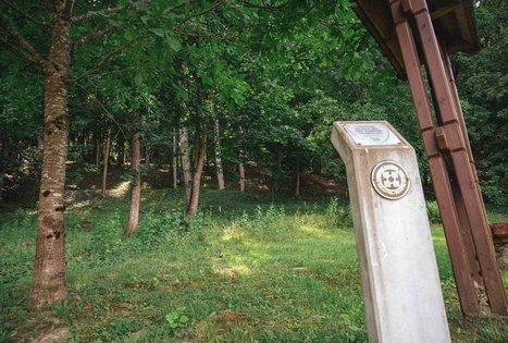 Miško Takas 70. Kaulakiai – Šiluva.