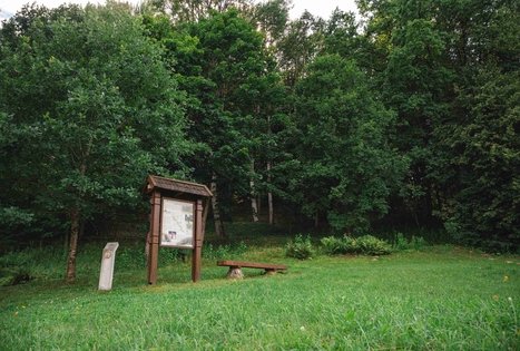 Danutės (Lyduvėnų I) piliakalnis