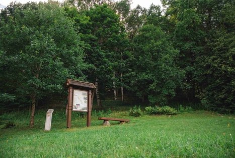 Miško Takas 70. Kaulakiai – Šiluva.