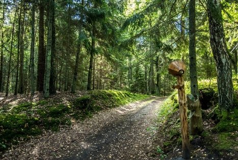 Dendrologinis pažintinis takas