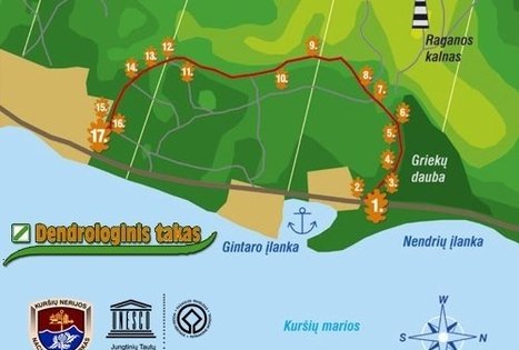 Dendrologinis pažintinis takas