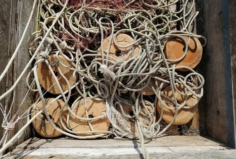 Neringos žvejų edukacijos