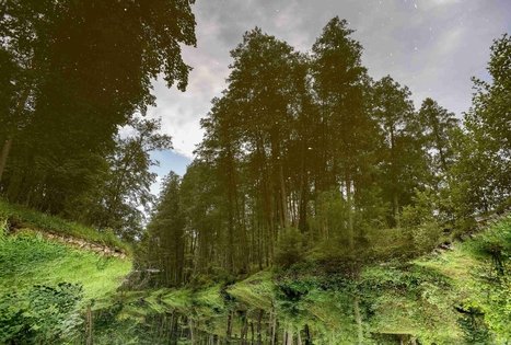 K. Dineika Wellness Park