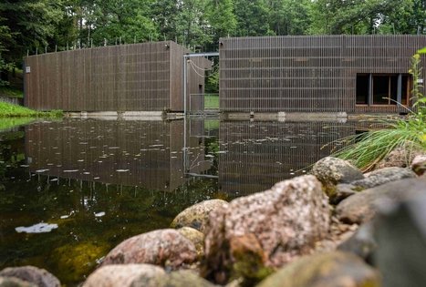 K. Dineika Wellness Park