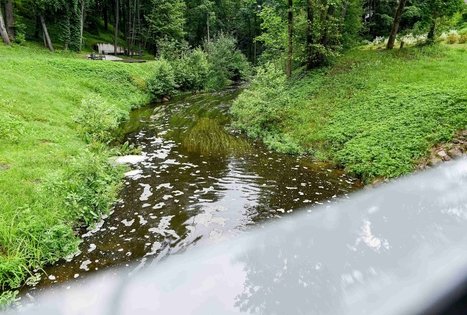 K. Dineika Wellness Park