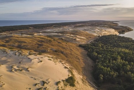 Naglių gamtinio rezervato pažintinis takas