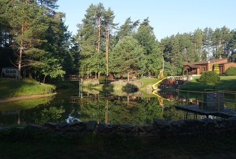 Audos Peimienės sodyba „Pušyno stovykla“