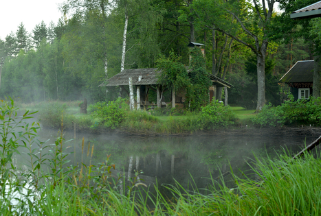 Sodyba „Violetos ranča“