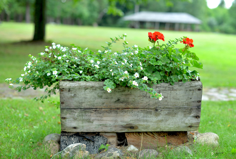 Sodyba „Violetos ranča“