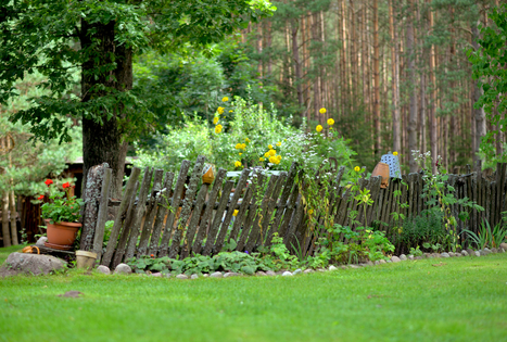Sodyba „Violetos ranča“
