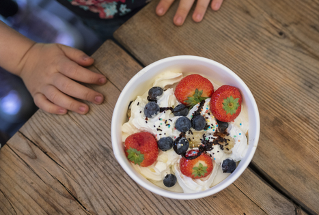 Sodyba „Antanėlio sapnas“