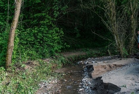 Stovyklavietė „Daugirdėnai“