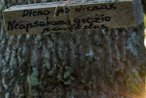 Stovyklavietė „Daugirdėnai“