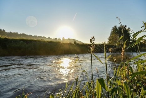 Stovyklavietė „Daugirdėnai“