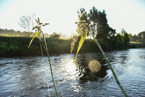 Stovyklavietė „Daugirdėnai“