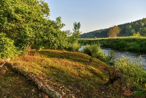 Stovyklavietė „Daugirdėnai“