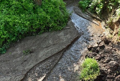 Stovyklavietė „Daugirdėnai“