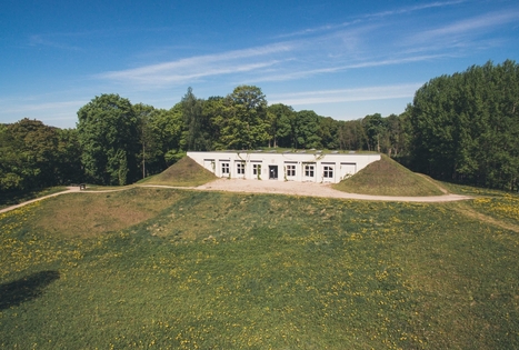 Dubingių piliavietė 