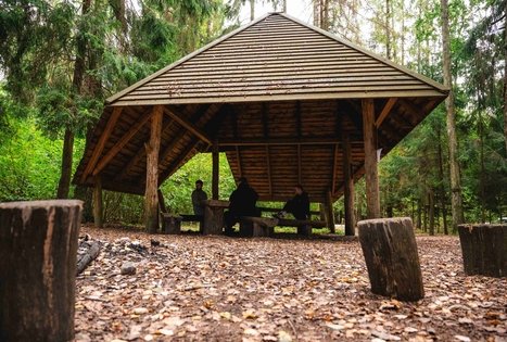 Miško Takas 62. Pakuonis – Vaišvydava.