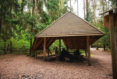 Miško Takas 62. Pakuonis – Vaišvydava.