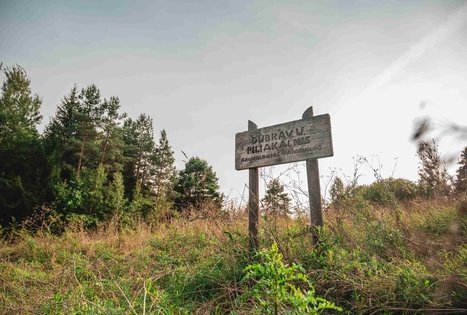 Dubravų piliakalnis