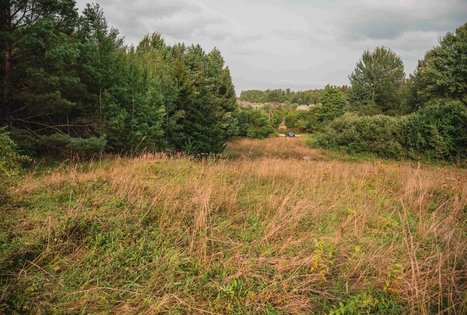 Dubravų piliakalnis