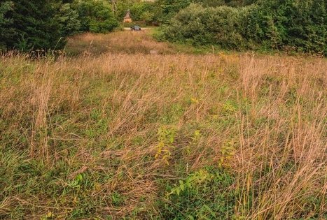 Dubravų piliakalnis