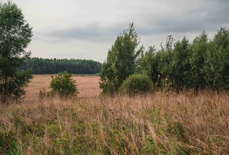 Dubravų piliakalnis