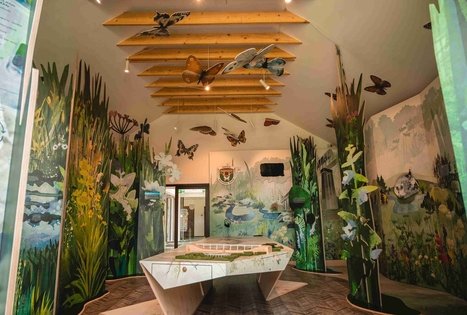 Dubysos regioninio parko direkcija