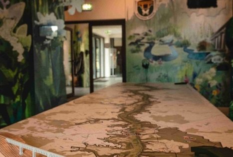 Dubysos regioninio parko direkcija