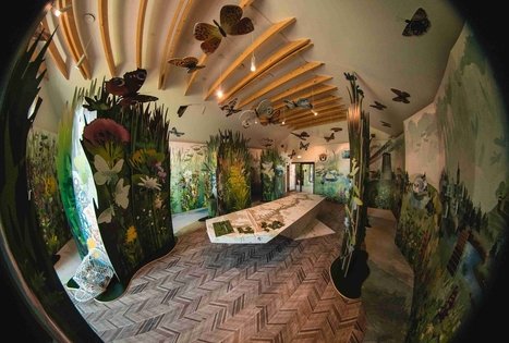 Dubysos regioninio parko direkcija